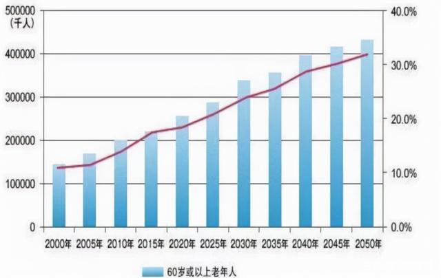 最新驾校科目三项目,市场竞争力提升详细策略与方案