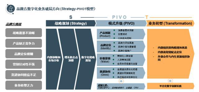 温州网约车最新消息,品牌市场定位分析与推广