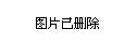 2024年11月21日 第119页