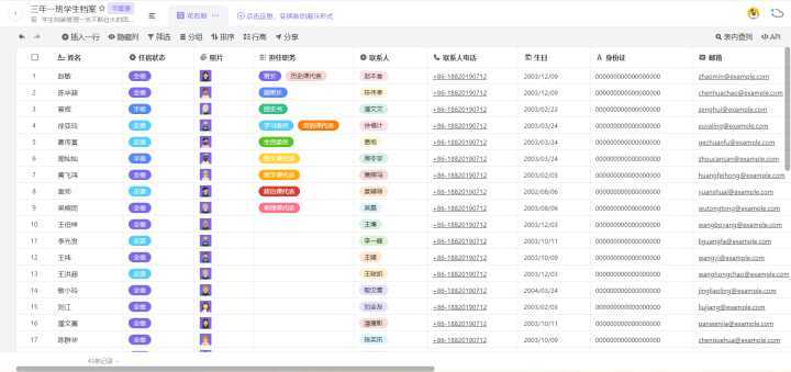 澳彩资料免费的资料大全wwe,项目管理工具与应用详细策略实施