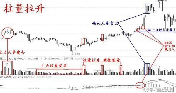 澳门天天彩期期精准龙门客栈,市场需求分析与预测未来发展趋势