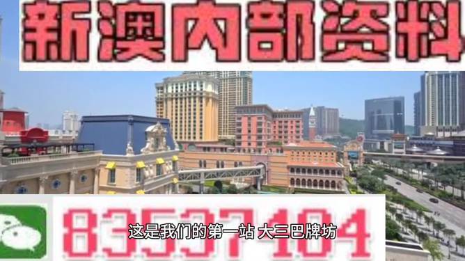 2024新澳正版资料最新更新,多读多写