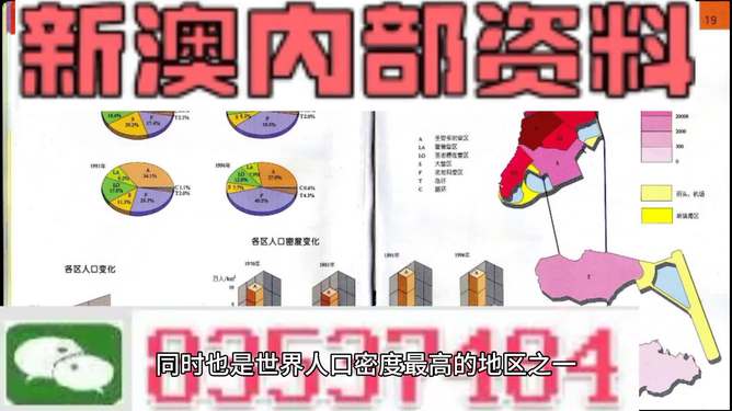 新澳门免费资料大全在线查看,保持简洁和准确